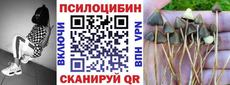 Купить закладки  Кунгур  Галлюциногенные грибы мухоморы 
