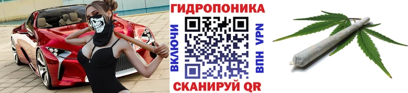 Марихуана гибрид  Купить где  Кунгур 
